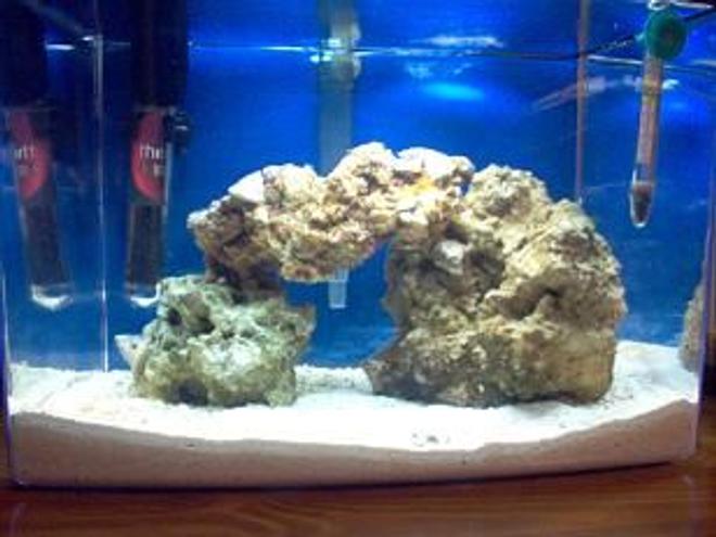 3 gallons saltwater fish tank (mostly fish, little/no live coral) - this is my 1 month old SW nano tank. the tank is a eclipse 3 gallon system with a aquaclear mini filter, heating i have a theo hydro, 5 pounds of live rock and all live sand and 4 pounds, about 1.5 to 2 inches deep, there are 3 snails and a few small star fish that live in the rocks when i got the rocks and im thinking of getting some coral but i want to try my luck with fish first, thinking of getting a small clown, but im going to wait about 1 more month so the tank has had time to cycle really good.