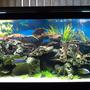 fish tank picture - Diff.View3