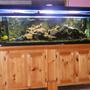 80 gallons saltwater fish tank (mostly fish, little/no live coral) - father in-law's 150 gal tank