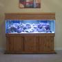 fish tank picture - Custom Canopy