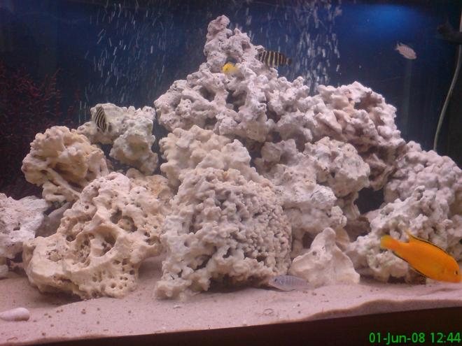 280 gallons freshwater fish tank (mostly fish and non-living decorations) - got more rocks and more fish in tank now looking good