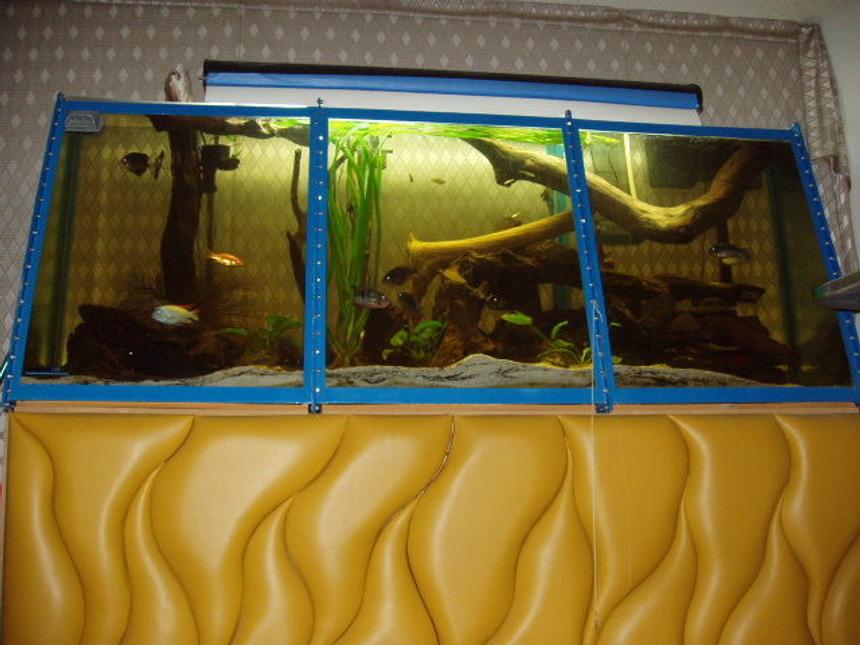 Rated #3206: 230 Gallons Freshwater Fish Tank - 220 gal  7'4" in length 3 ft high 11 panels of 3/8 tempered glass with  cichlids, and catfish