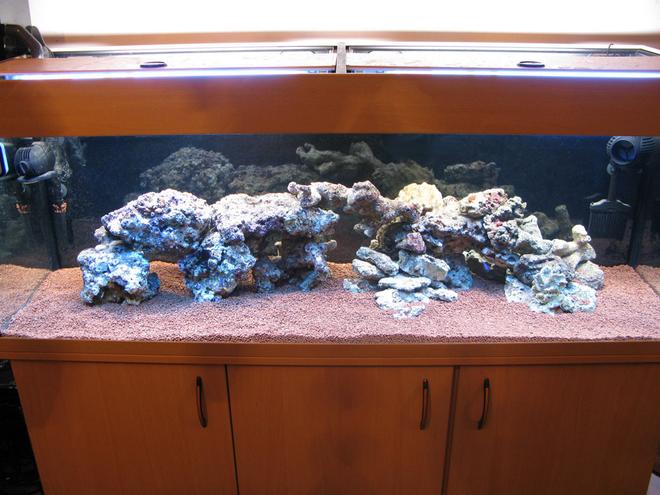 102 gallons reef tank (mostly live coral and fish) - live rock cured . attempt in acua scape harder than imagined