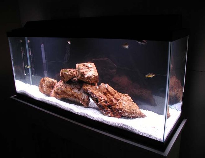 55 gallons freshwater fish tank (mostly fish and non-living decorations) - 55 gal,  homemade stand