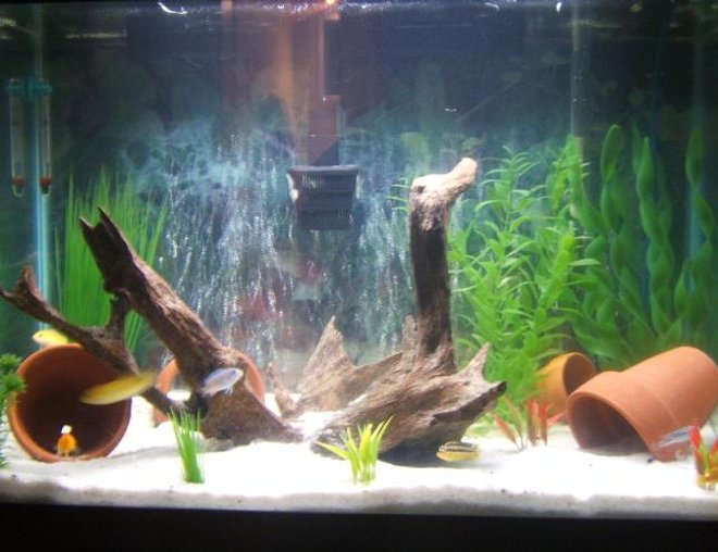 30 gallons freshwater fish tank (mostly fish and non-living decorations) - The smaller bedroom tank