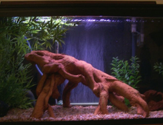 55 gallons freshwater fish tank (mostly fish and non-living decorations) - 33gal South American cichlid setup. Log and plants are all fake.