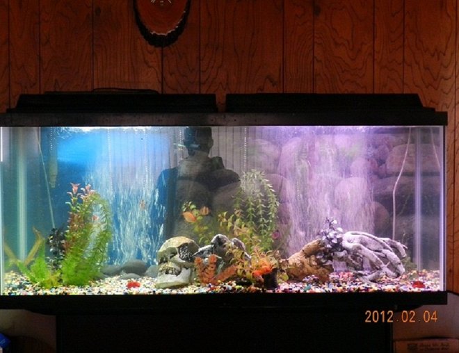 55 gallons freshwater fish tank (mostly fish and non-living decorations) - Enjoy. Relaxing. Love my tank. I now have upgraded my 2nd tank to a 75 gallon tank. OMG its nice!! 75 Gal tanks are probably one of the nicest sizes to have, bigger than that starts to take up too much room usually unless you can get a taller one.