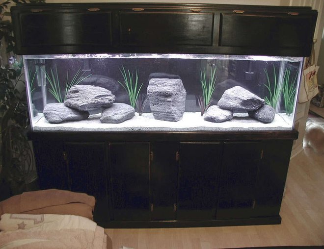 125 gallons freshwater fish tank (mostly fish and non-living decorations) - This is my new 125gl cichlid tank. It does not have any fish at this time. I used featherock, eco-complete african cichlid sand, and fake plants because cichlids love to dig. The featherock had to be cooked in the oven and dropped in a bucket of water to make them sink but the light weight of the rocks saved me alot of money at .50 cents a pound.
