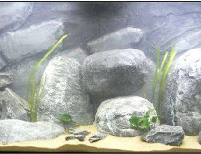 65 gallons freshwater fish tank (mostly fish and non-living decorations) - Tanganyika, hollow rocks DIY... made from cement en epoxyresin.