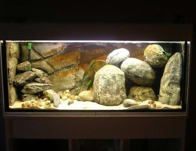 65 gallons freshwater fish tank (mostly fish and non-living decorations) - Tanganyika nr two, DIY, hollow rocks.