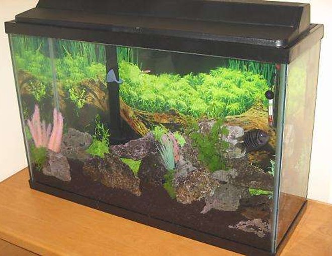 45 gallons freshwater fish tank (mostly fish and non-living decorations) - 45 gallon tall tank, Dimensions are 36x24x12,  40lbs of Lava Rock, (3 caves) 50lbs black gravel, assorted plastic plants, powered by a Marineland Emperor 280.