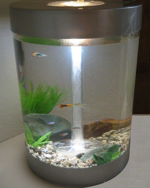 Rated #3859: 9 Gallons Freshwater Fish Tank - My First Fish Tank