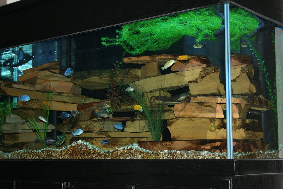 Rated #934: 210 Gallons Freshwater Fish Tank - 210 Gallon Cichlid Tank