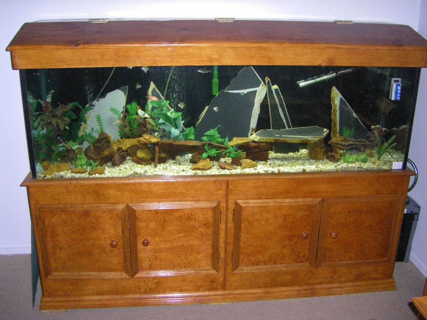 Rated #2828: 130 Gallons Freshwater Fish Tank - 6FT x 2FTx  1.5FT
300watt Heater, 2100 L/PH internal filter
NCF-1500 external filter

Fish:
6 x Australian Monos
2 x Bala sharks
1 x Black shark (20cm+)
4x Rossy barbs (getting rid of them)

Adding to tank:
1 X Pleco
10 x Yoyo loach