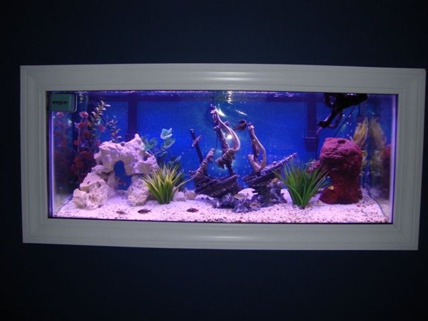Rated #1093: 75 Gallons Freshwater Fish Tank - Tank pic 2