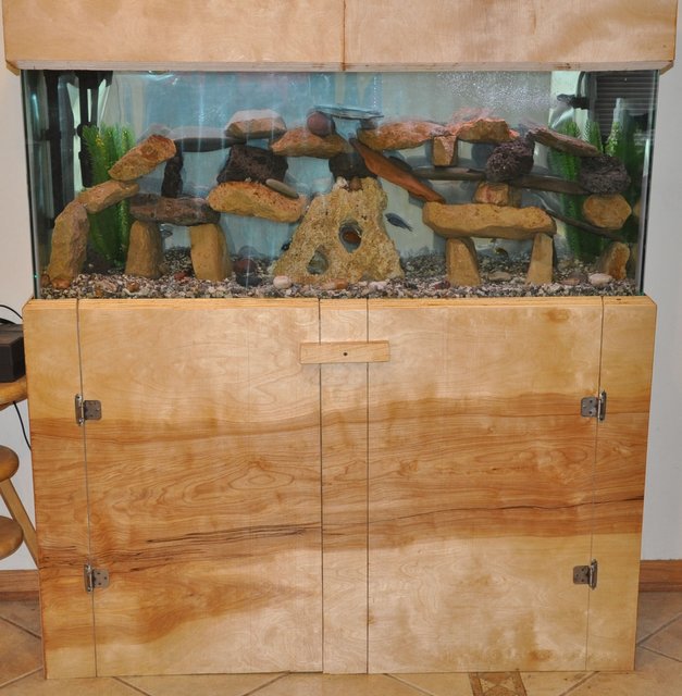 Rated #2775: 55 Gallons Freshwater Fish Tank - 55 Gallon Freshwater African Cichlid