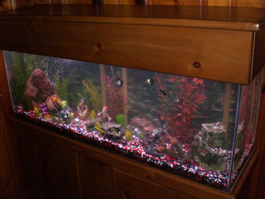 Rated #3222: 55 Gallons Freshwater Fish Tank - The Pirate Theme
