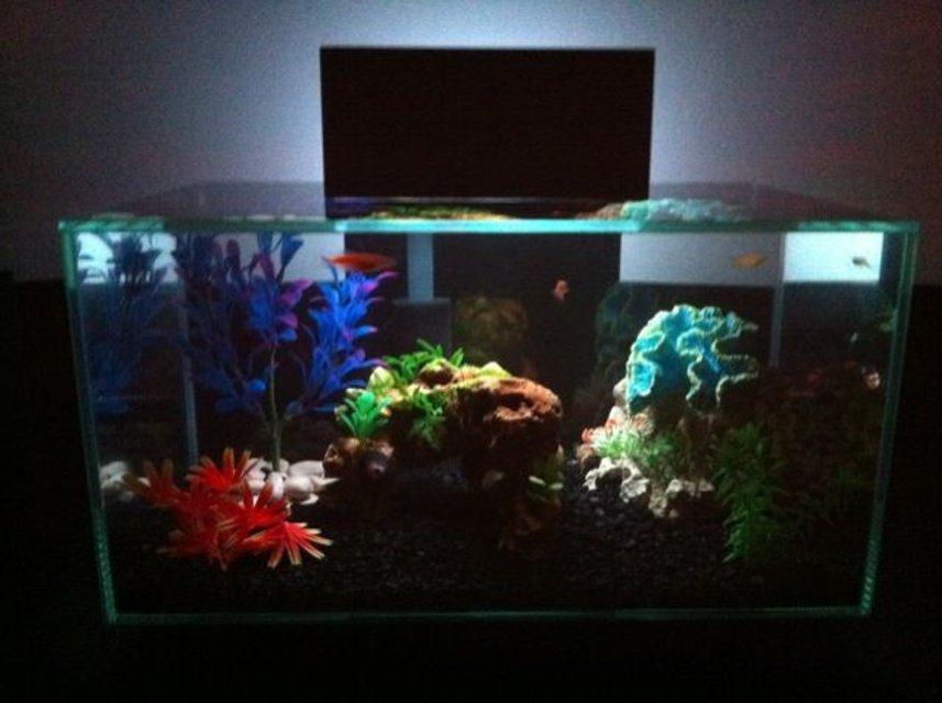 Rated #3193: 6 Gallons Freshwater Fish Tank - Fluval Edge w/LED Multicolor Mod