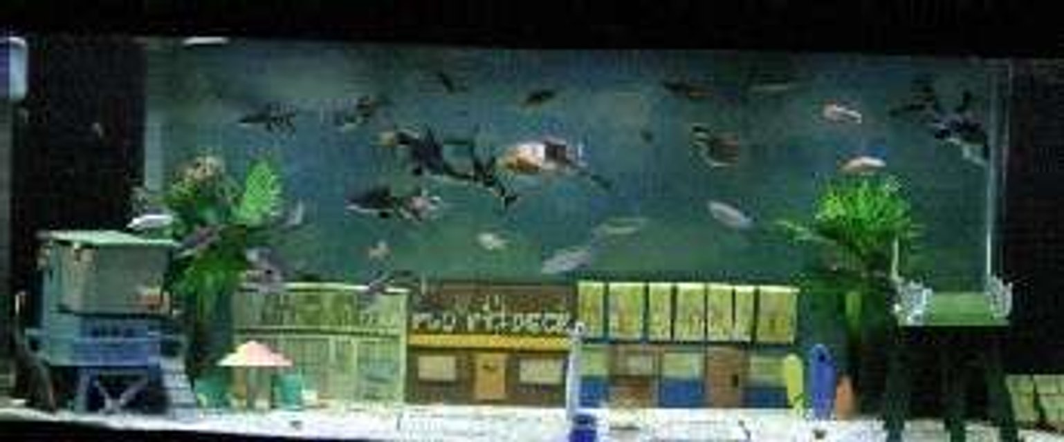 Rated #3056: 175 Gallons Freshwater Fish Tank - I made each ornament by hand. They are all custom ceramic pieces.  Email me if you want me to create one for your tank.