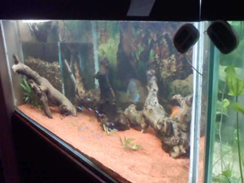 Rated #3870: 55 Gallons Freshwater Fish Tank - na