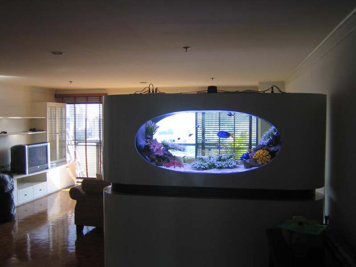 200 gallons saltwater fish tank (mostly fish, little/no live coral) - a view from the back
