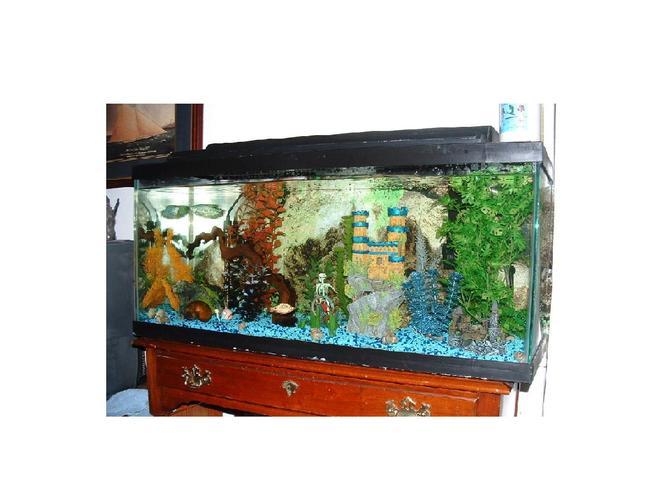 30 gallons freshwater fish tank (mostly fish and non-living decorations) - This is my first tank but it has been up and running with good success for over a year now.  My oldest fish is my Opaline Gourami at just over a year old and my newest is my Phantom Tetra and Dalmation Balloon Molly. I got them a month ago. UPDATE - Just got a Rhino Plecostomus.  Cool little guy. Can't wait till he gets bigger.