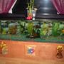 66 gallons freshwater fish tank (mostly fish and non-living decorations) - 6' 66 gallon
