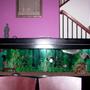 125 gallons freshwater fish tank (mostly fish and non-living decorations) - my tanks I mad the canopy my self = )