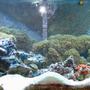 75 gallons reef tank (mostly live coral and fish) - 75 gal saltwater