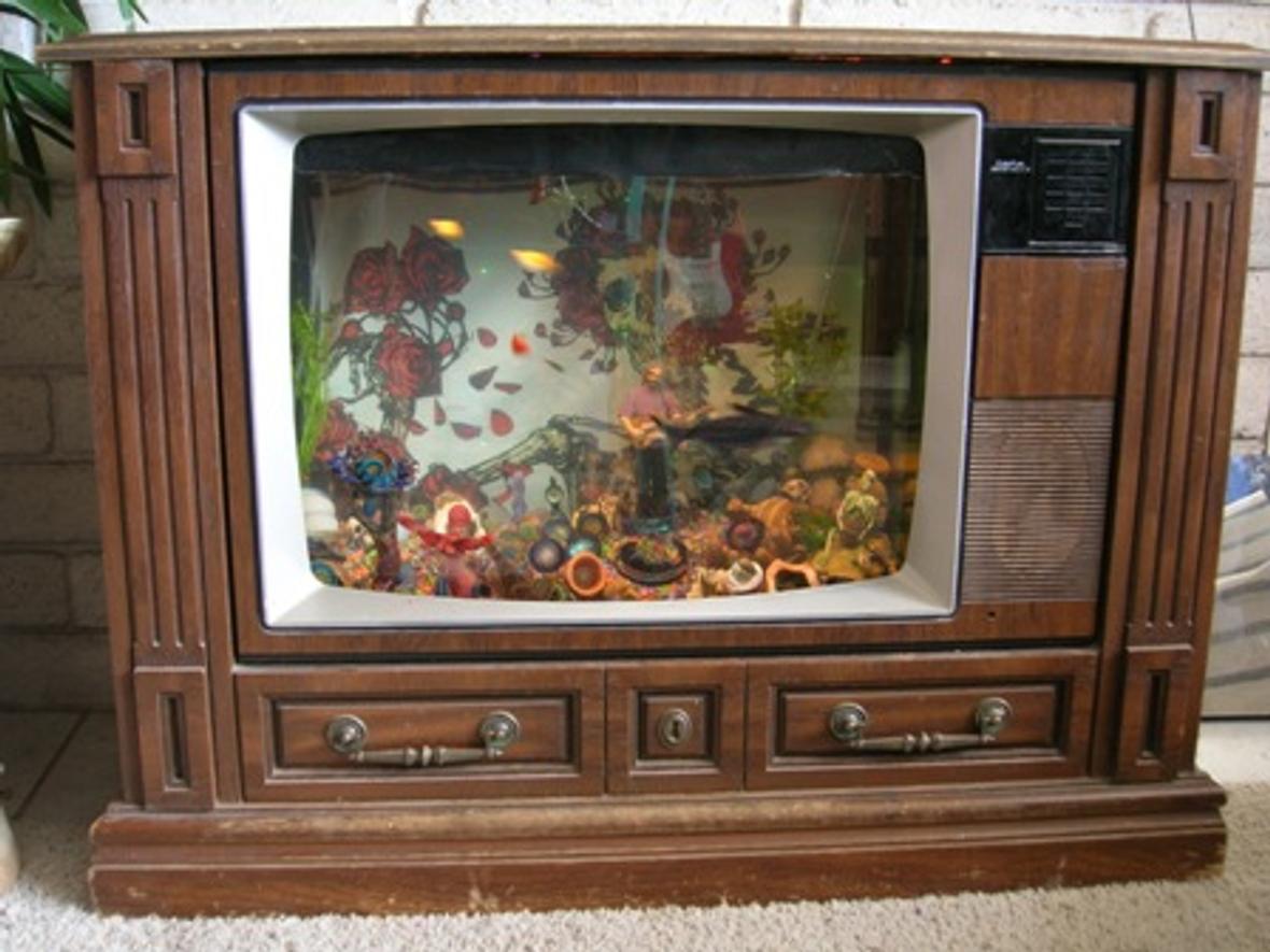 25 gallons freshwater fish tank (mostly fish and non-living decorations) - A tribute the greatest rock n roll band ever! If you look hard enough you can see your face melt! THIS IS FOR YOU JERRY!!!