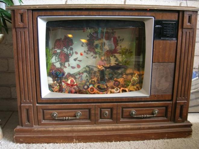 25 gallons freshwater fish tank (mostly fish and non-living decorations) - A tribute the greatest rock n roll band ever! If you look hard enough you can see your face melt!
THIS IS FOR YOU JERRY!!!