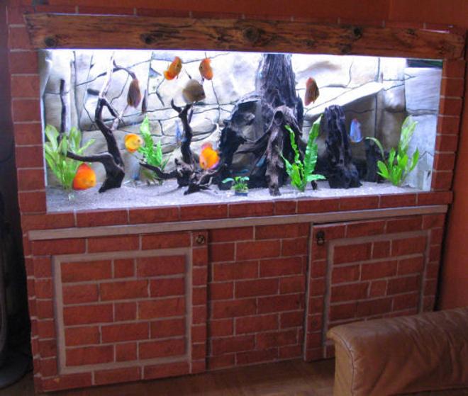 127 gallons freshwater fish tank (mostly fish and non-living decorations) - My 480 litres tank with 11 Discus fishes.