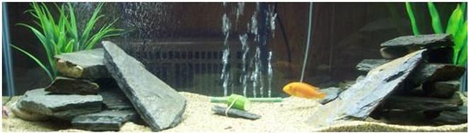 75 gallons freshwater fish tank (mostly fish and non-living decorations) - This is my main Malawi all glass 75 gallon tank.  The decor is 55lbs of stacked sesame slate and about 20lbs of rock art gravel