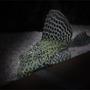freshwater fish - glyptoperichthys gibbiceps - sailfin pleco (l-83) stocking in 127 gallons tank - Gibbicept