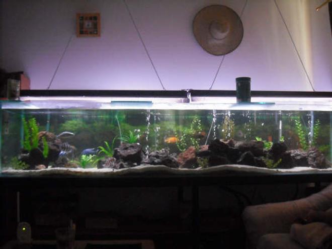 230 gallons freshwater fish tank (mostly fish and non-living decorations) - This is my 230 gallon or 881 liters, sorry. I know this is too far away, but the tank is too long that this is the only way to get it on the picture. thanks