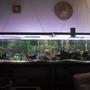 230 gallons freshwater fish tank (mostly fish and non-living decorations) - This is my 230 gallon or 881 liters, sorry. I know this is too far away, but the tank is too long that this is the only way to get it on the picture. thanks
