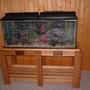 fish tank picture - custom stand