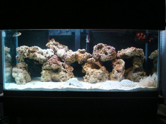 29 gallons saltwater fish tank (mostly fish, little/no live coral) - done