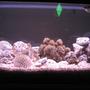 76 gallons freshwater fish tank (mostly fish and non-living decorations) - this is the full view of my fish tank