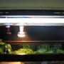 fish tank picture - left lights