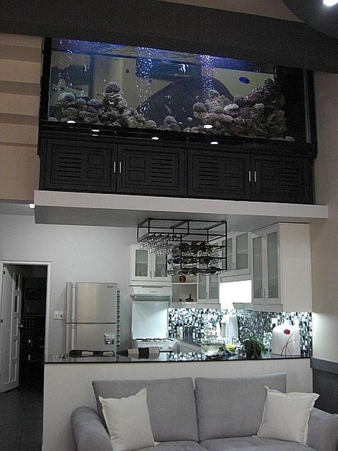 700 gallons reef tank (mostly live coral and fish) - Yes...that is a 700 Gallon tank on that little ledge above the kitchen. 4 tonnes of weight (glass, rock, coral, filter coral, water, etc...) right there. Dont worry, even though the house was designed with no center walls or pillars, it was built with a skeleton framework to hold all that weight right there. Instead of a boring wall to divide the floors, this fish tank does the trick nicely.