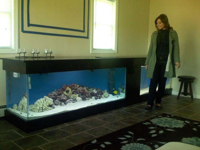 180 gallons saltwater fish tank (mostly fish, little/no live coral) - Combo Tank, 180 and a 120. 2'x12'. The 120 is used for the carnivore and problematic specimens.  I also have a few nano tanks.