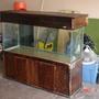 fish tank picture - This was my 120 gallon when I bought it. It was beat up and very very flimsy. I was shocked that it held 1000 pounds of water. I ended up building a 2x4 fram on the inside of it.