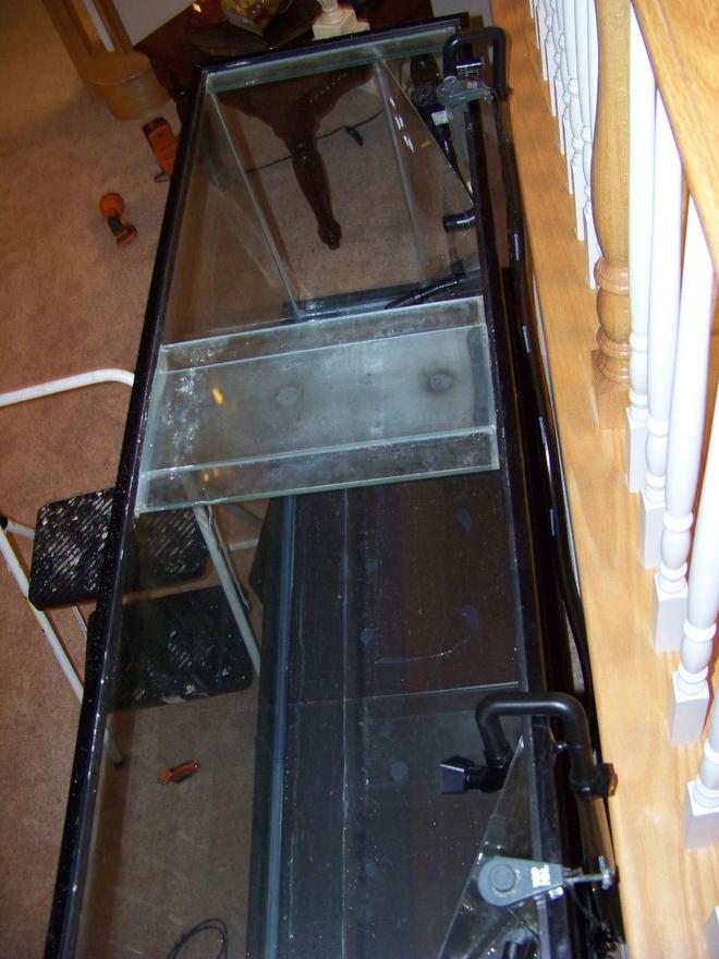 120 gallons freshwater fish tank (mostly fish and non-living decorations) - Finished Plexy work.