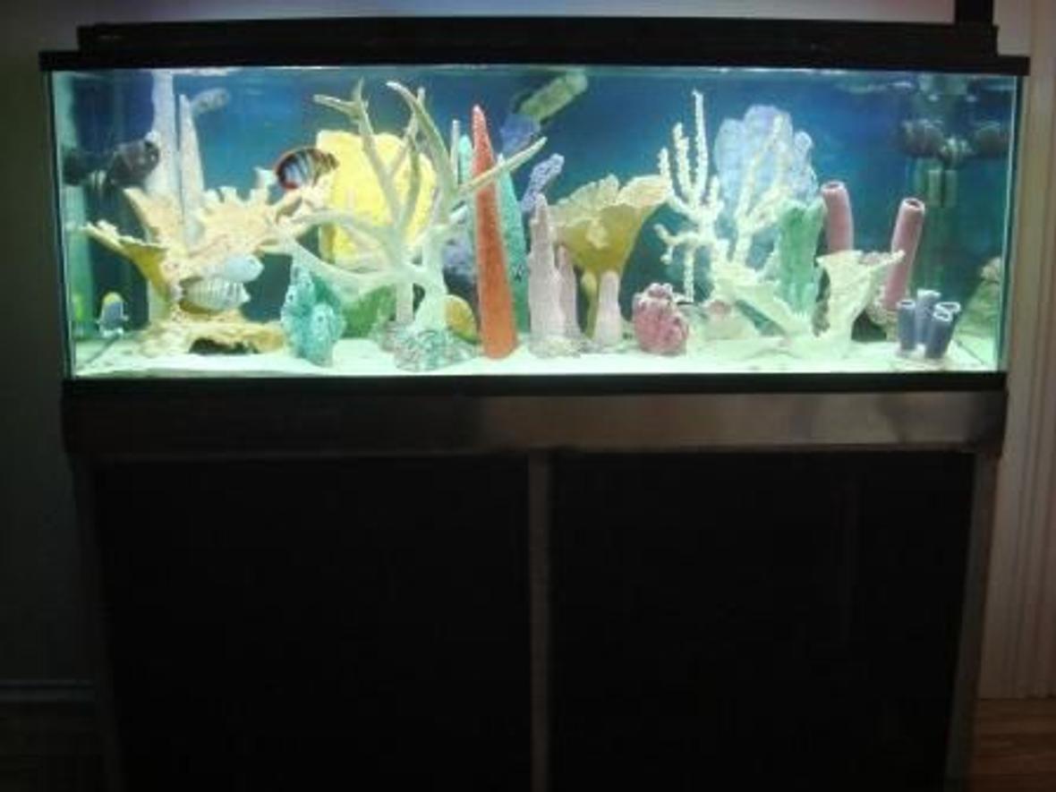 180 gallons saltwater fish tank (mostly fish, little/no live coral) - 180g Fish Only