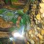 fish tank picture - 2nd Favorite