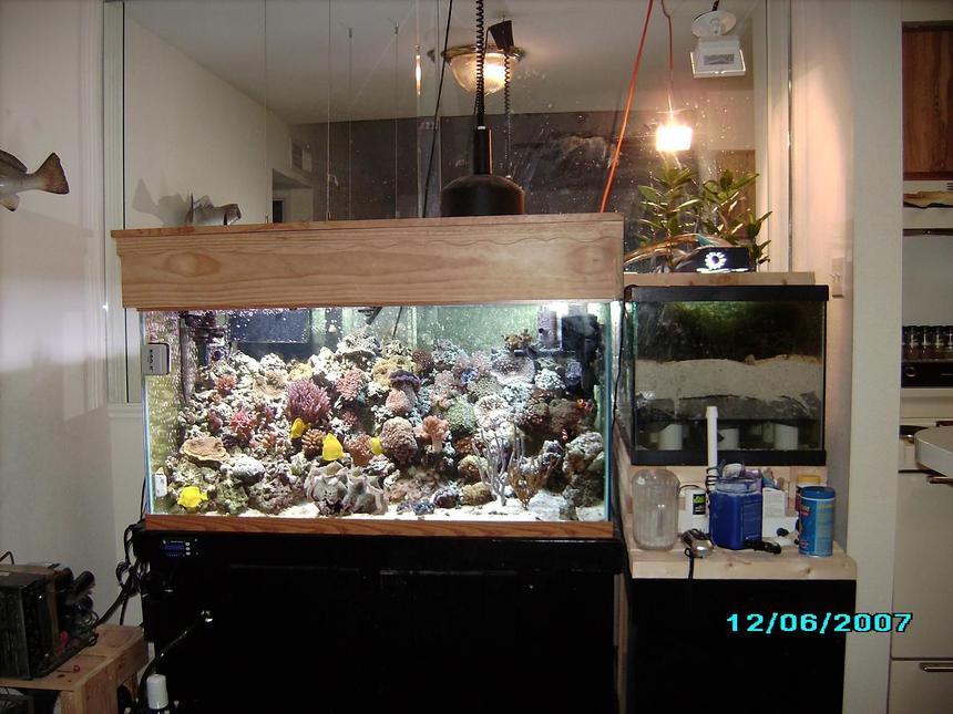 Rated #65: 120 Gallons Reef Tank - 1