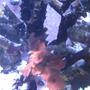 corals inverts - actinodiscus sp. - red mushroom stocking in 46 gallons tank - Corals