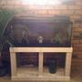 75 gallons freshwater fish tank (mostly fish and non-living decorations) - 3 piranha, setup is still under construction
