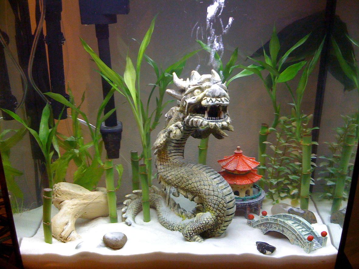 15 gallons freshwater fish tank (mostly fish and non-living decorations) - Just added sand..